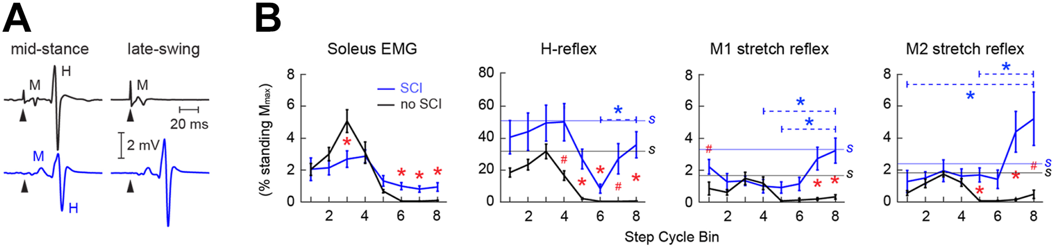 A multi-panel graph compares soleus H-reflex and stretch reflex modulation across the gait cycle in people without neurological injury and with chronic incomplete spinal cord injury.