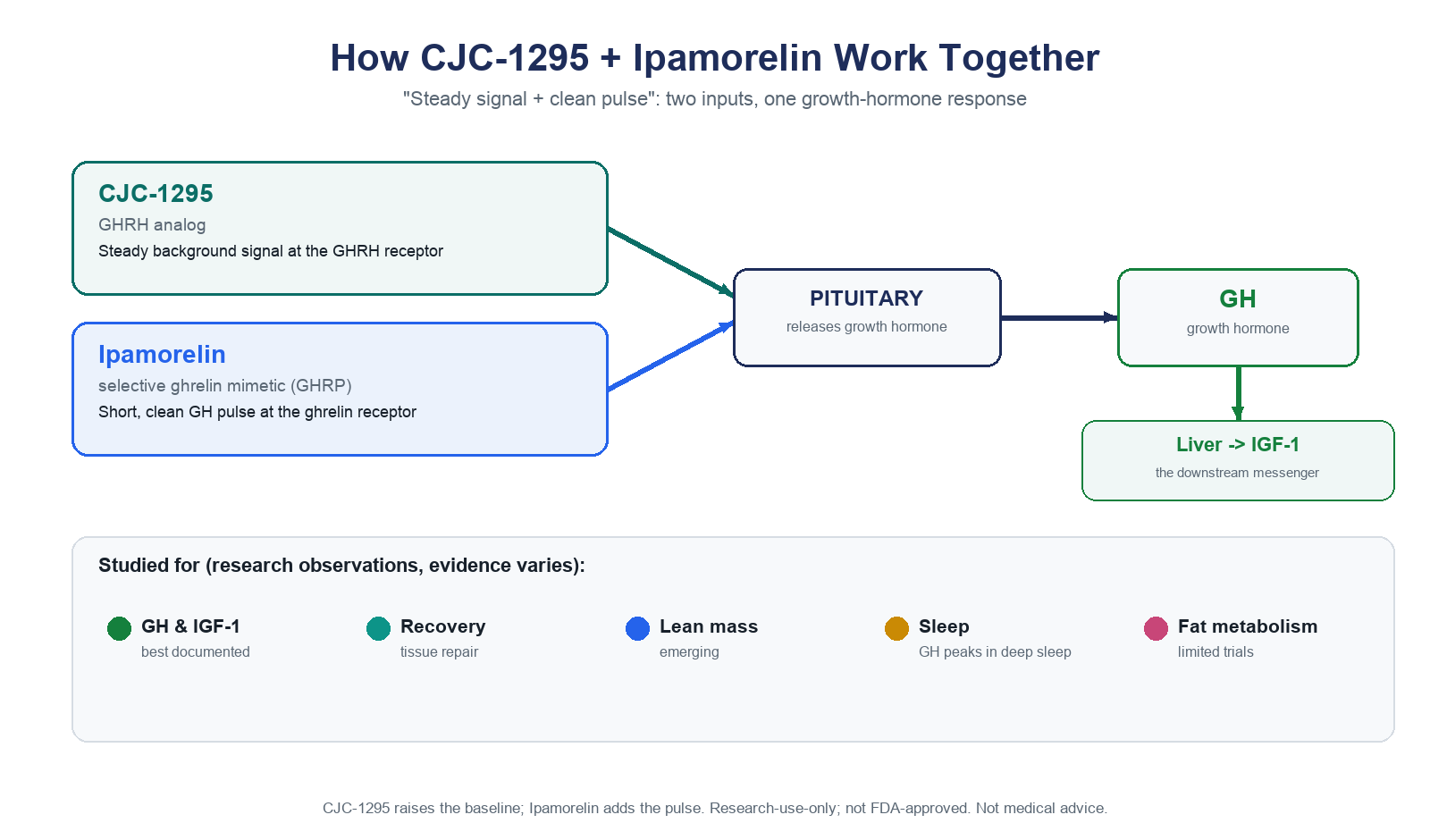 cjc-1295 ipamorelin clinical trials body composition + Ipamorelin: Benefits, Dosage, DAC vs No-DAC & Research (2026) Musculoskeletal Key face wash for dry skin women Methycobal 500 MCG Injection Size:60 caps