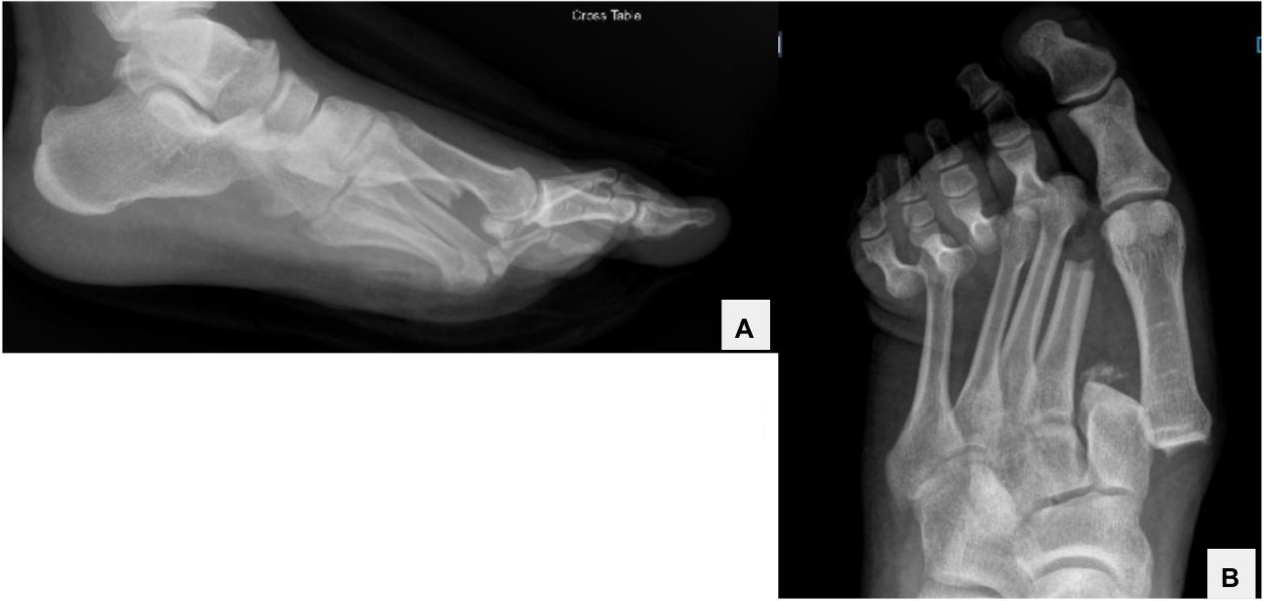 Fig. 1: