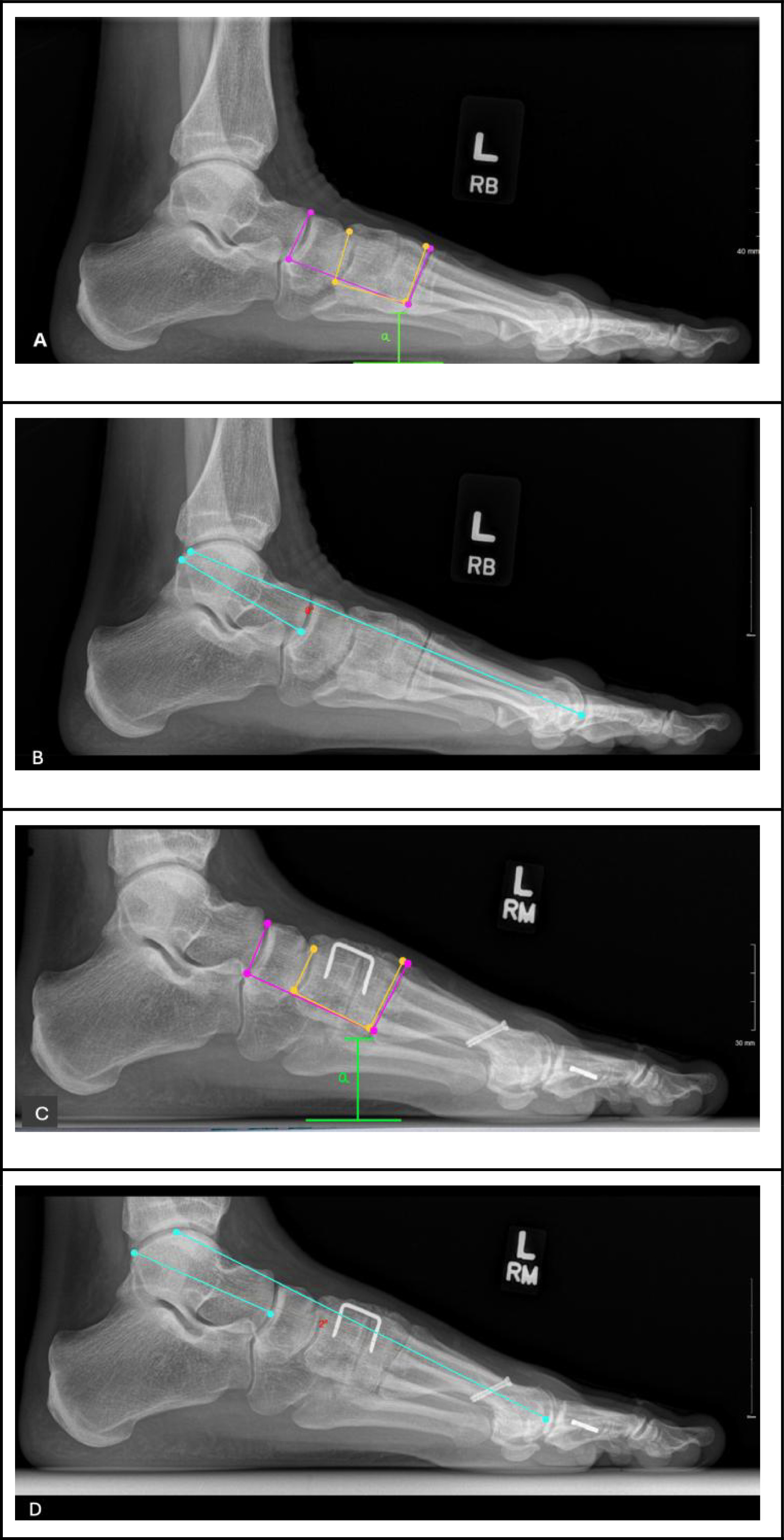 Fig. 1:
