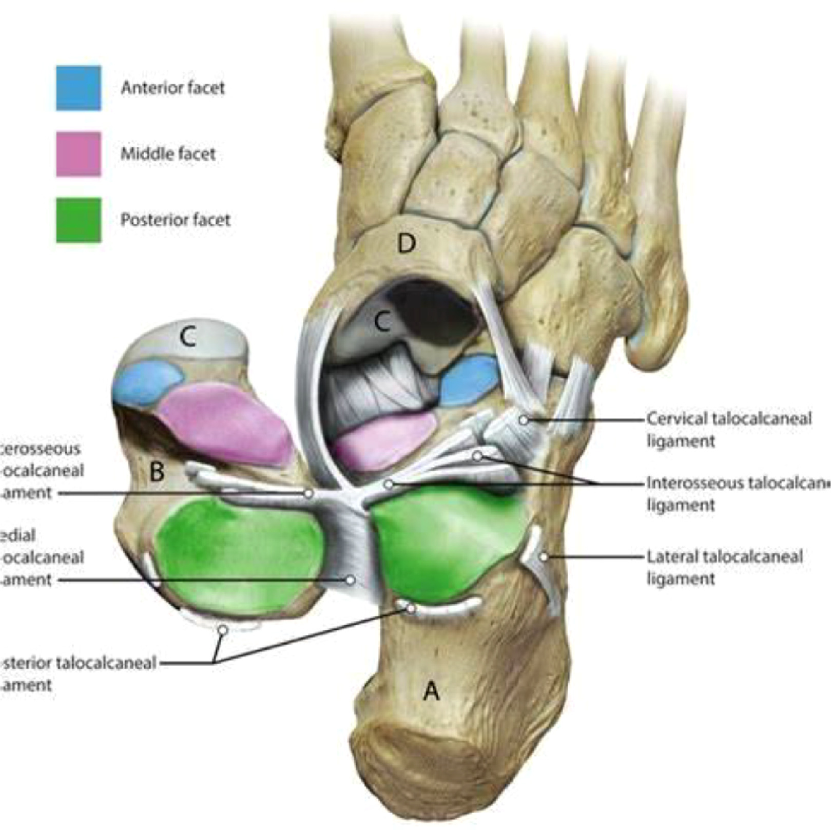 Fig. 1 dummy alt text