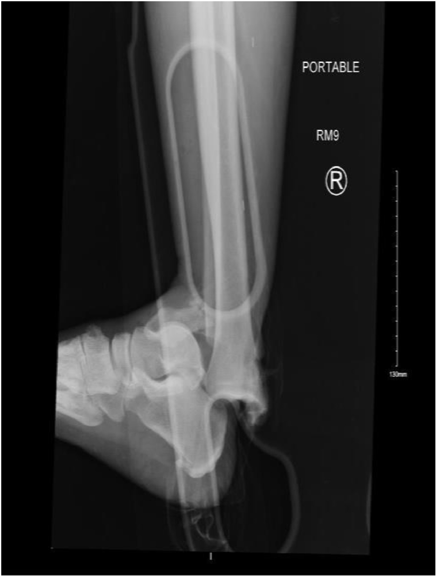 Fig 1 dummy alt text