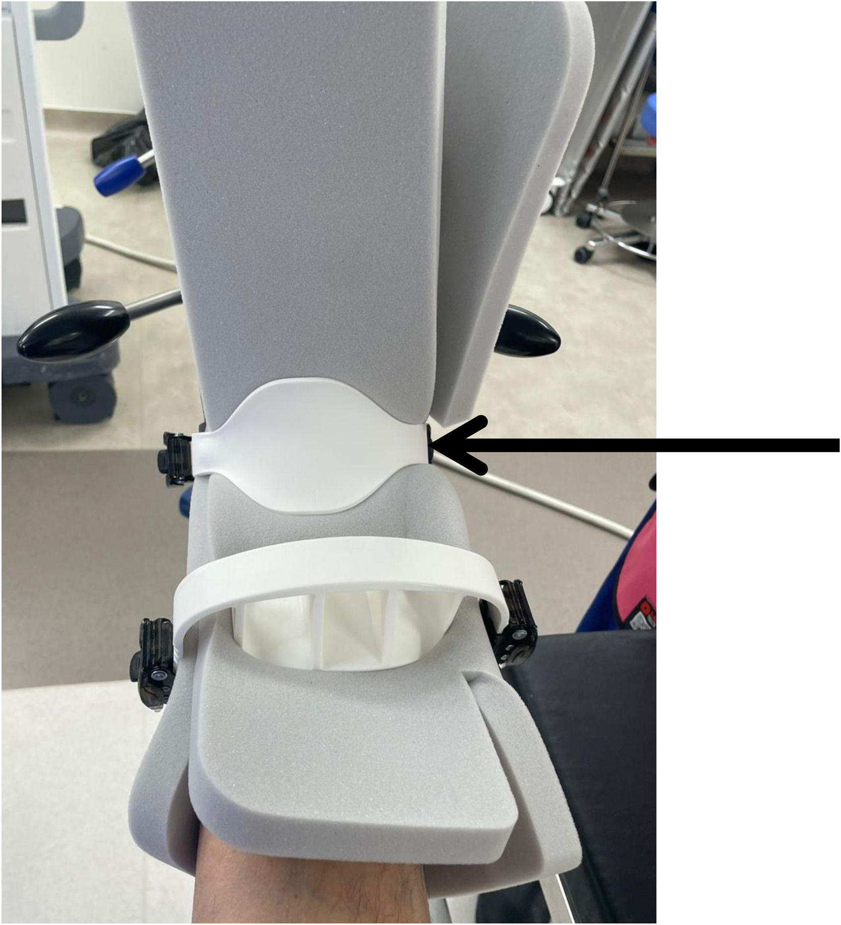 Fig 1 dummy alt text