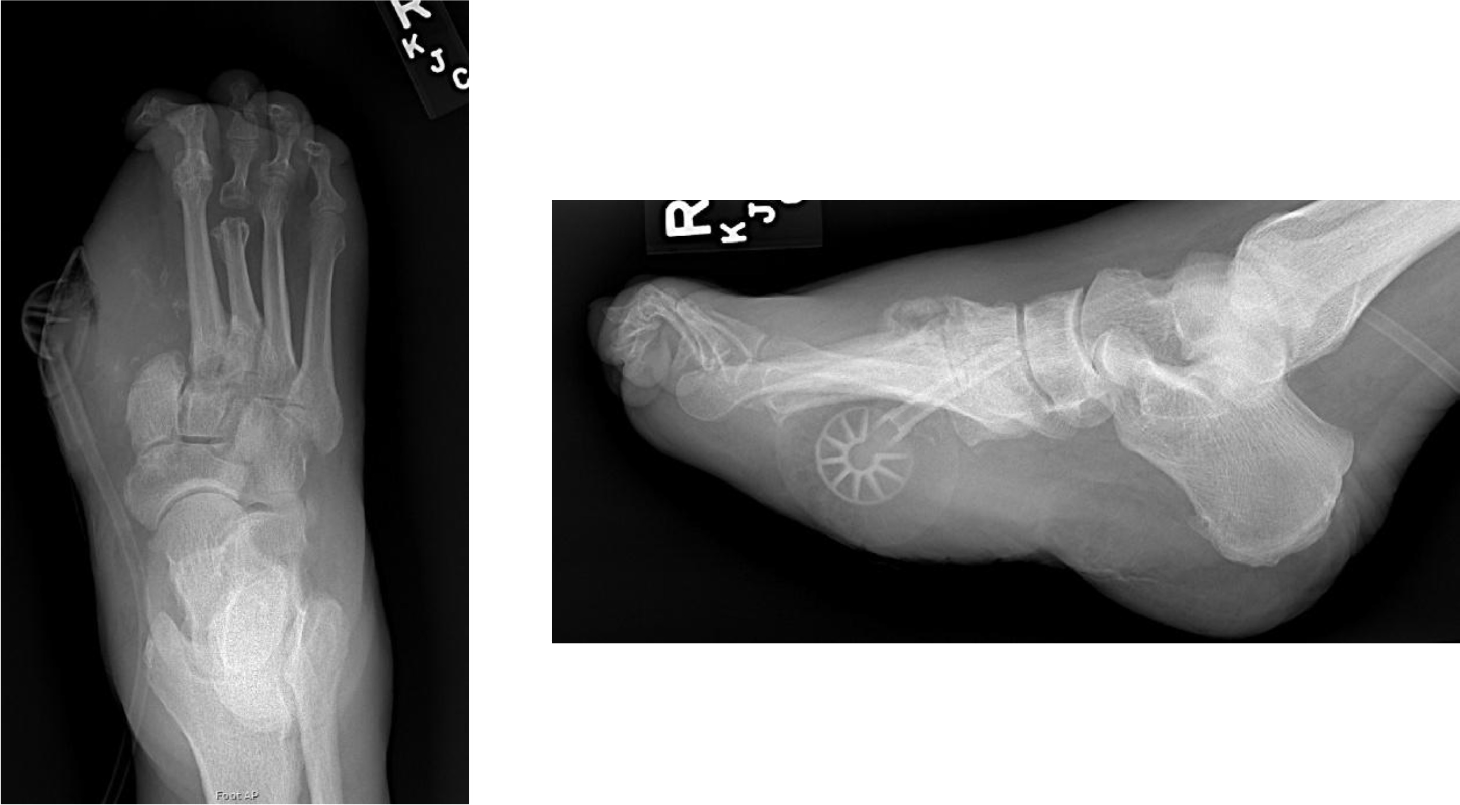 Fig 2 dummy alt text