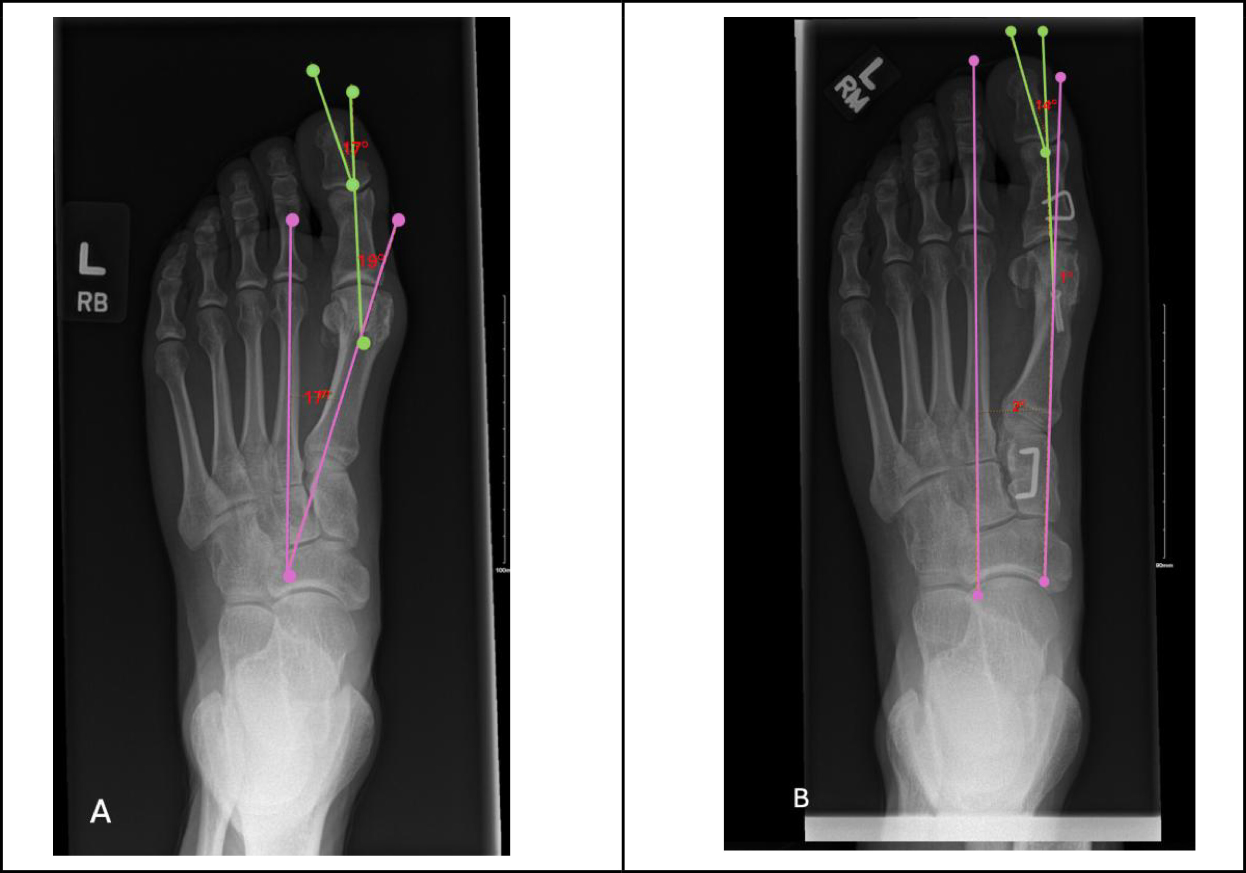 Fig. 2: