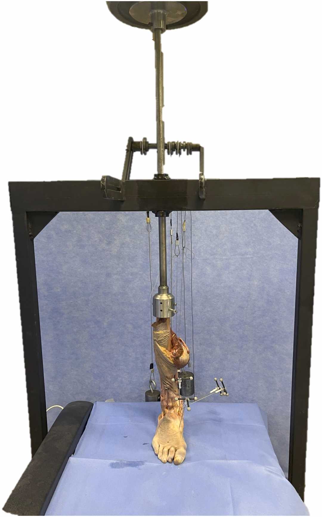 Fig. 2