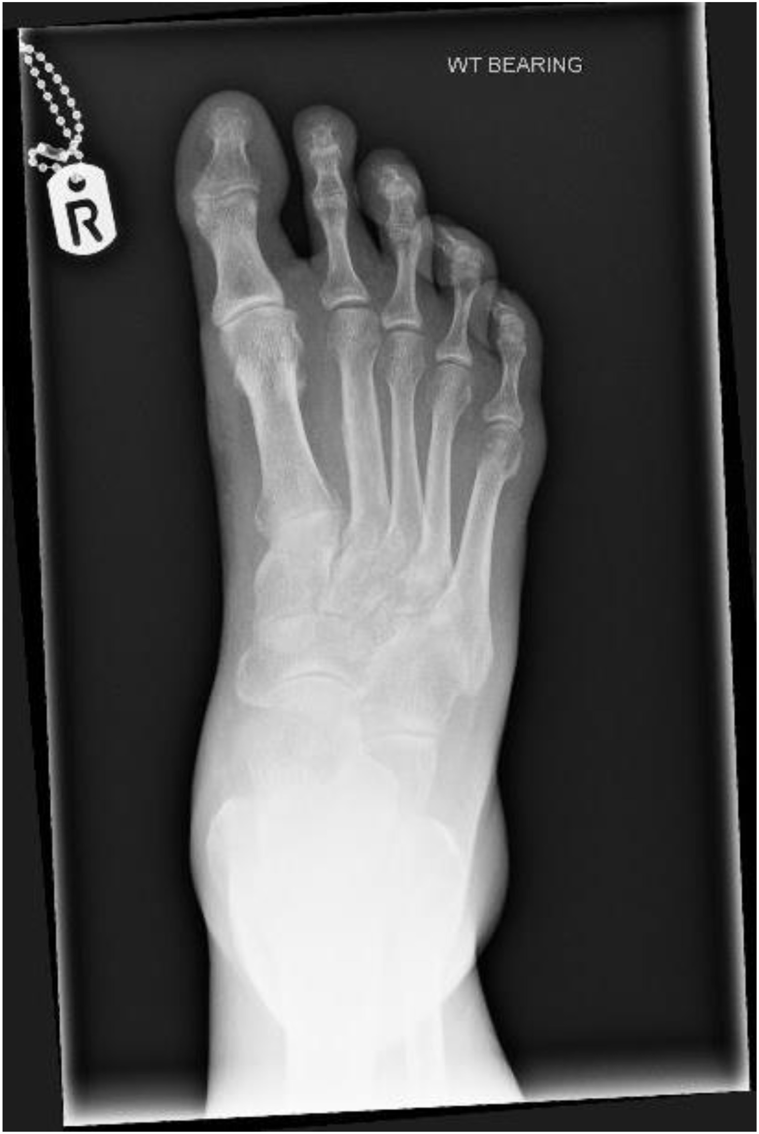 Fig 2 dummy alt text