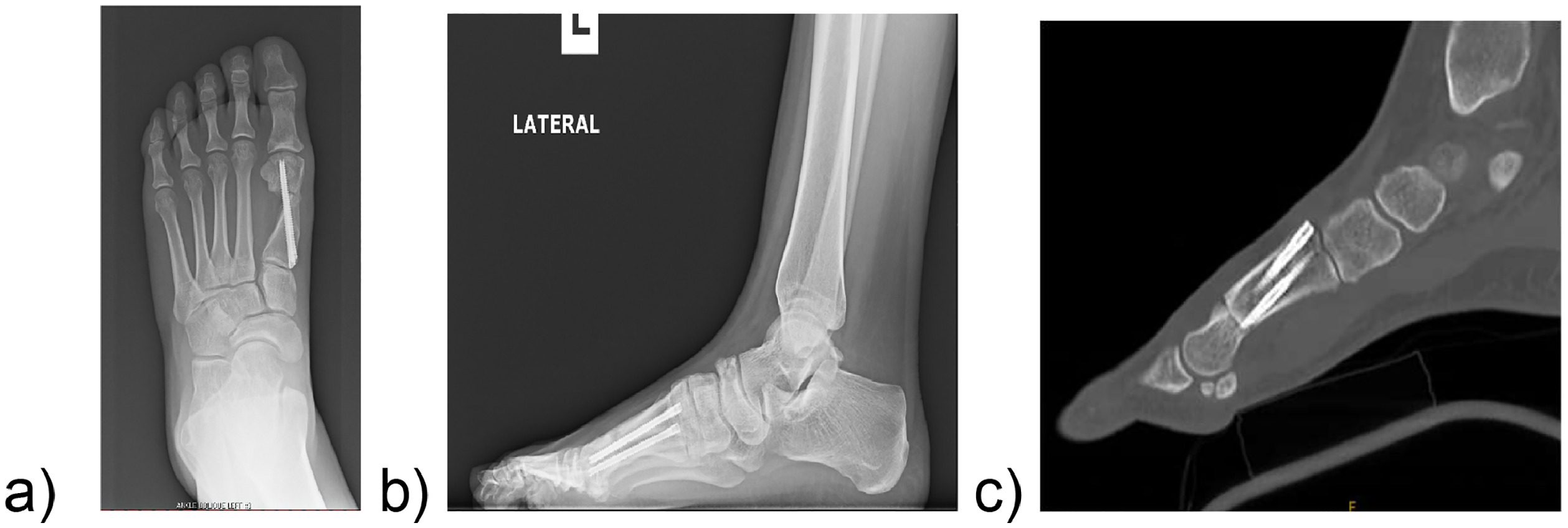 Fig 2: dummy alt text