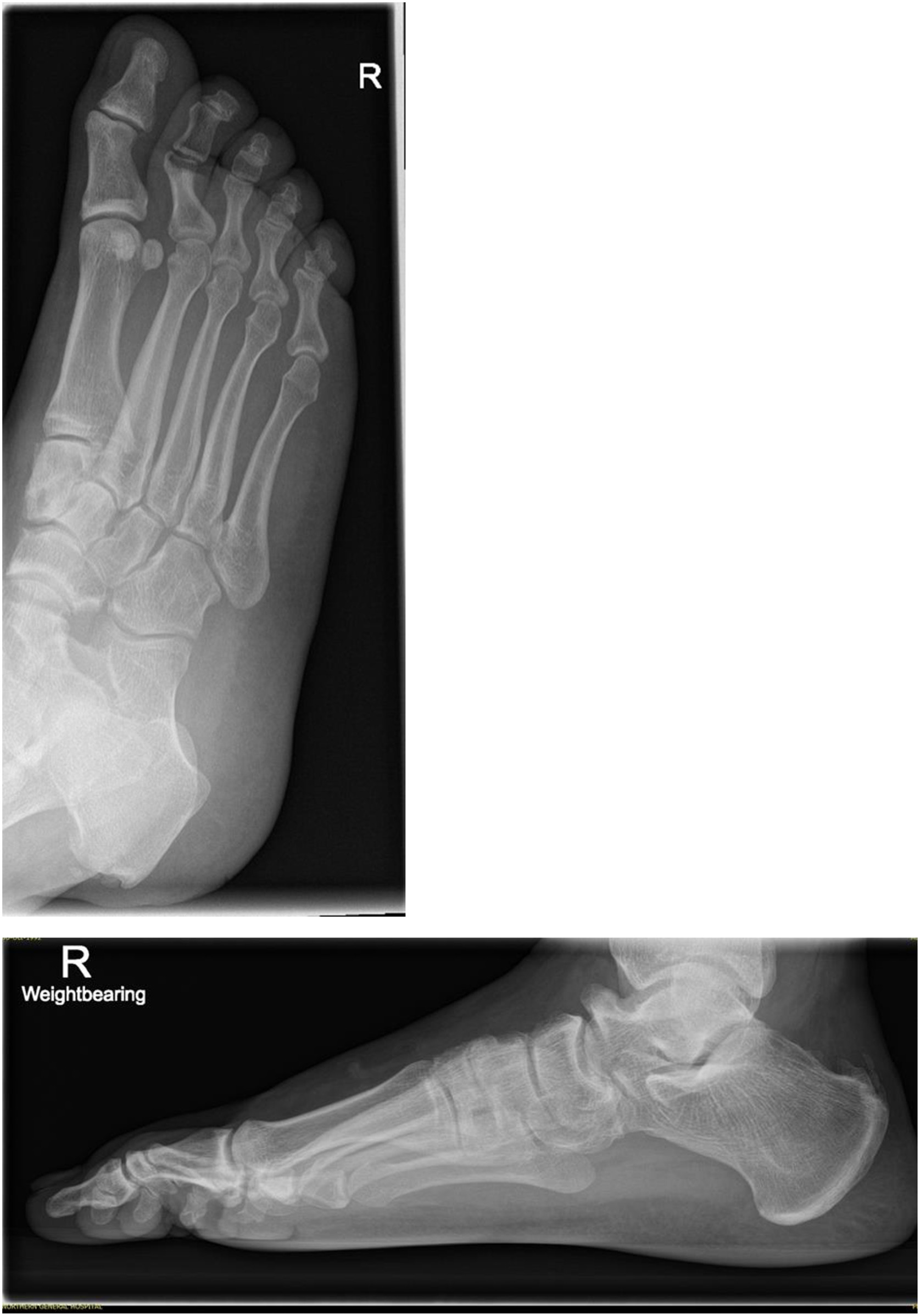 Fig 2 dummy alt text