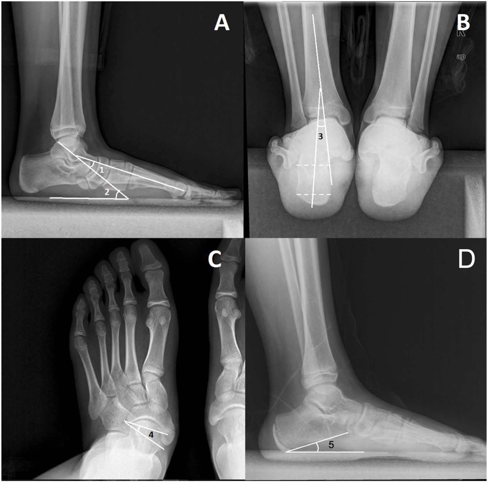 Fig. 3
