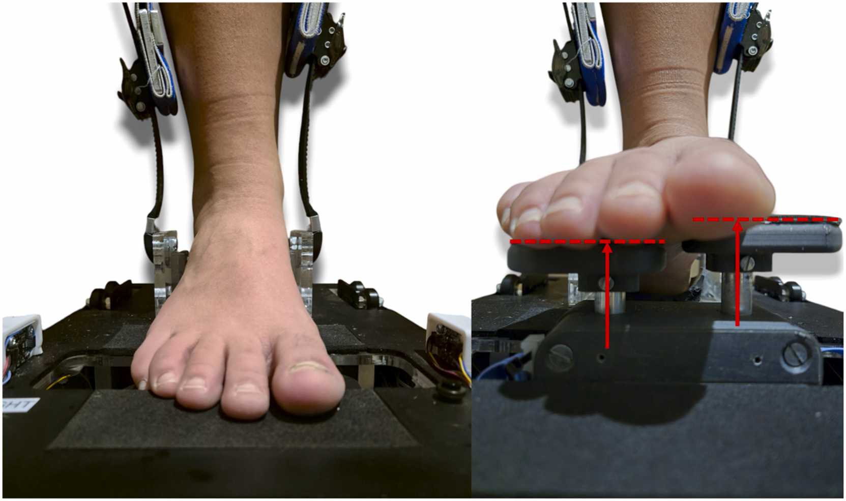 Fig. 3
