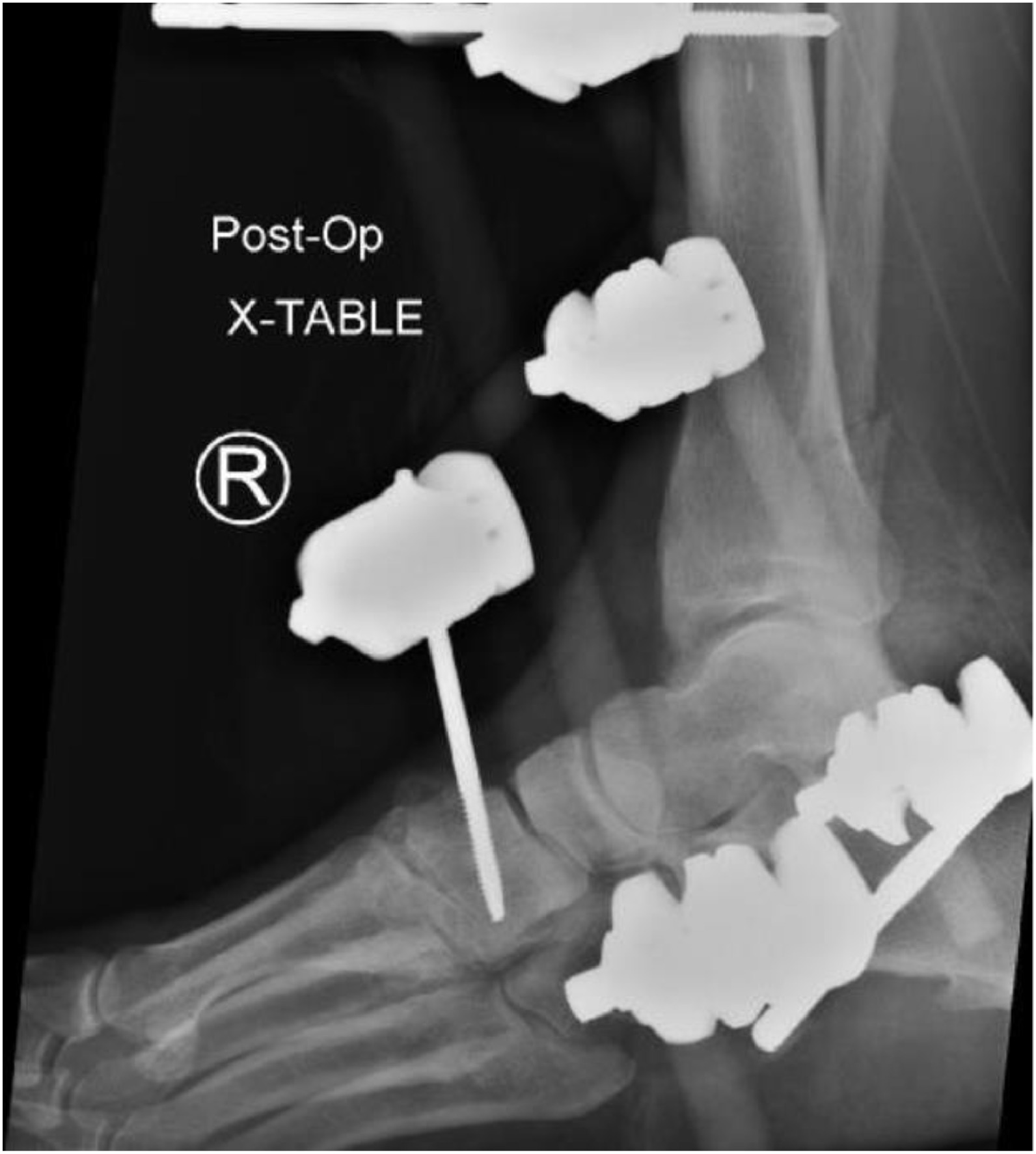 Fig 3 dummy alt text