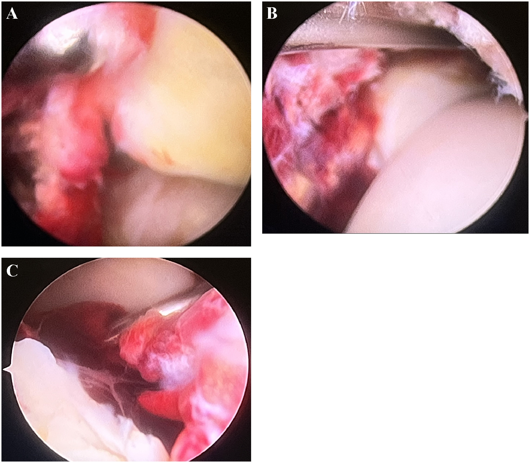 Fig. 4 dummy alt text