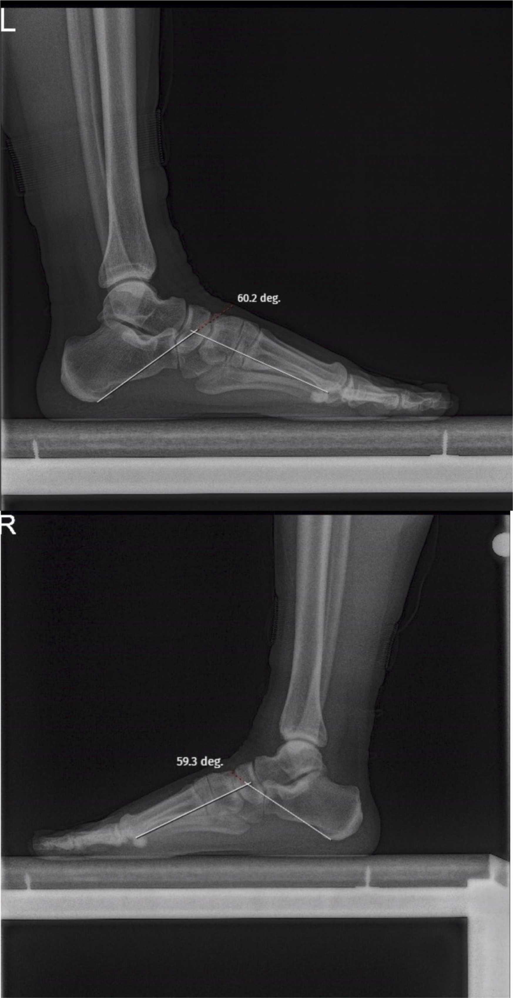 Fig. 5