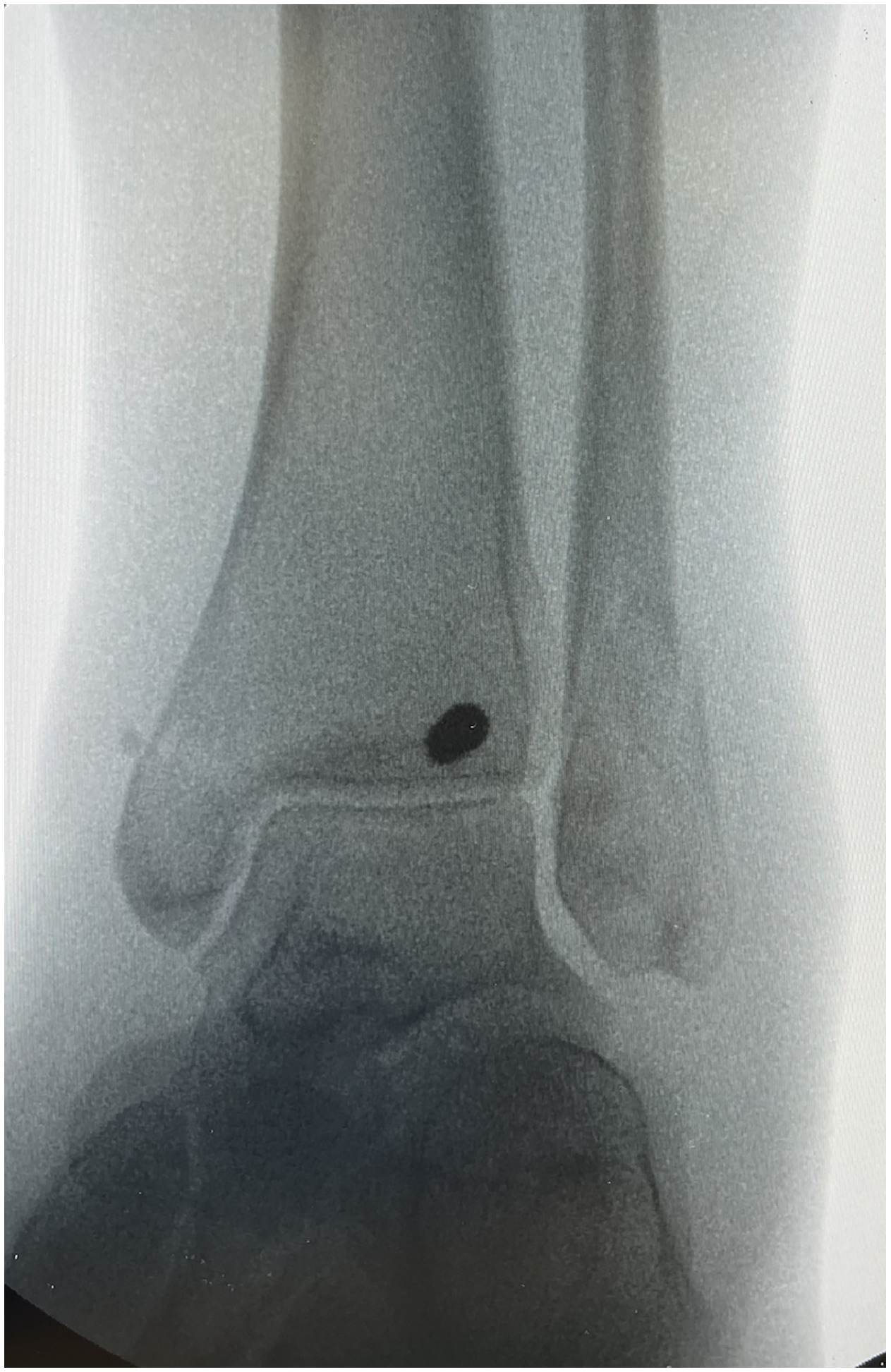 Fig. 6 dummy alt text