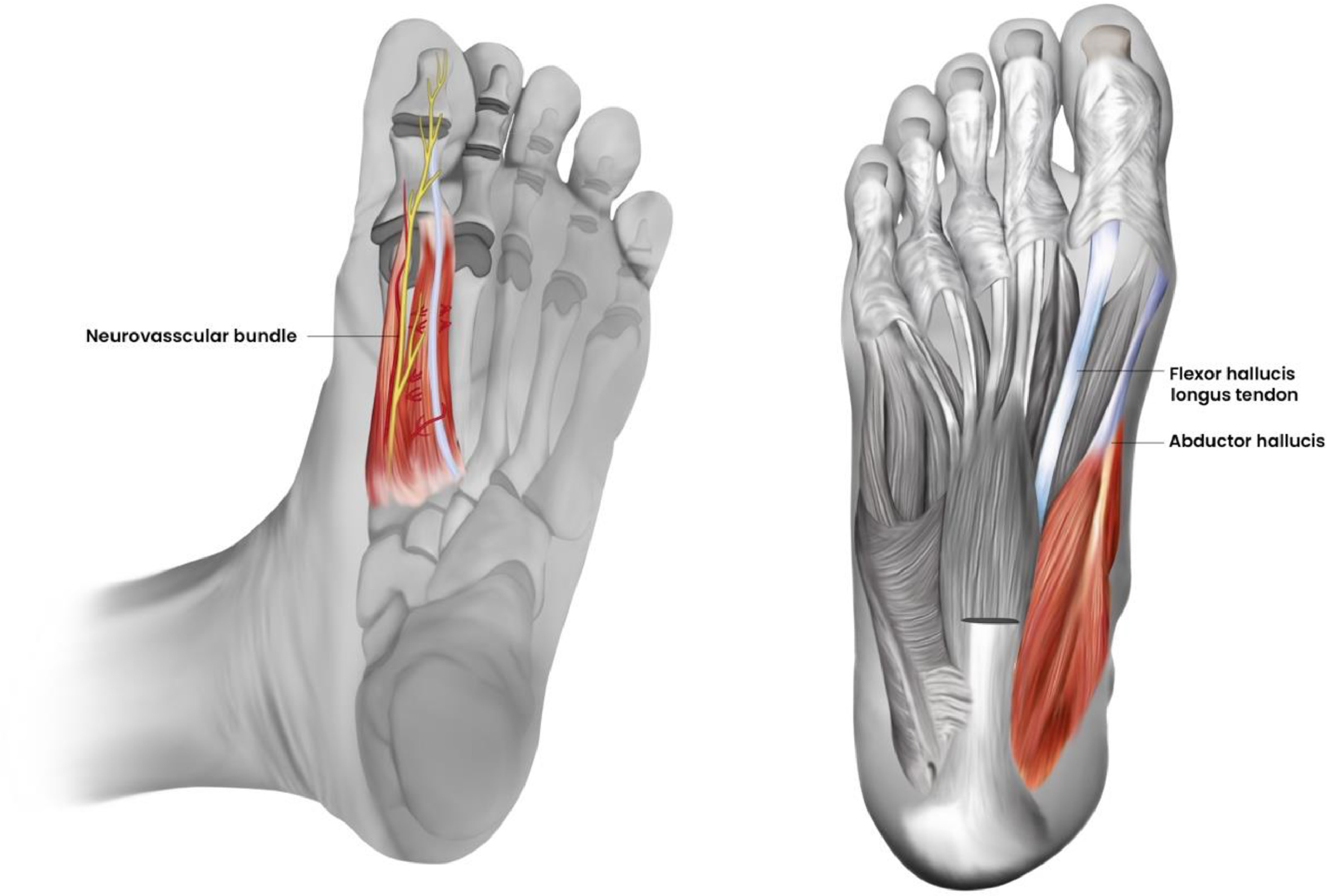 Fig 6:
