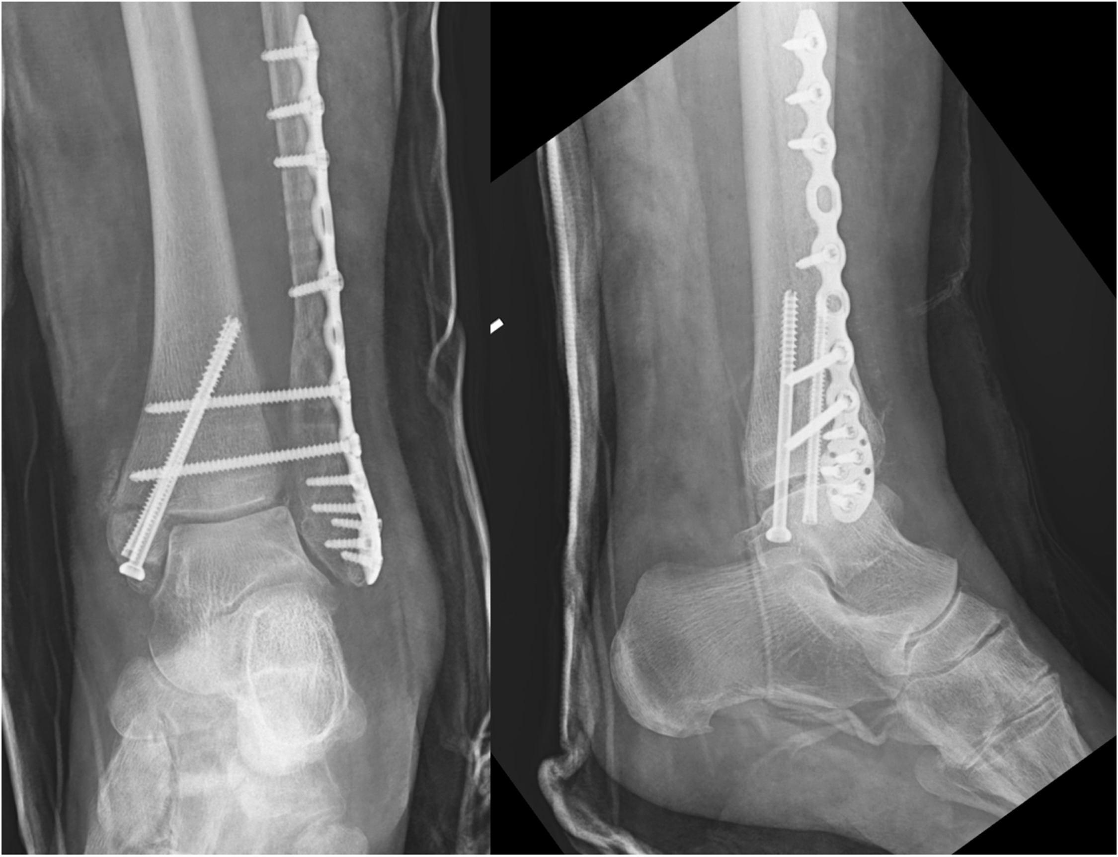 Fig. 6 dummy alt text