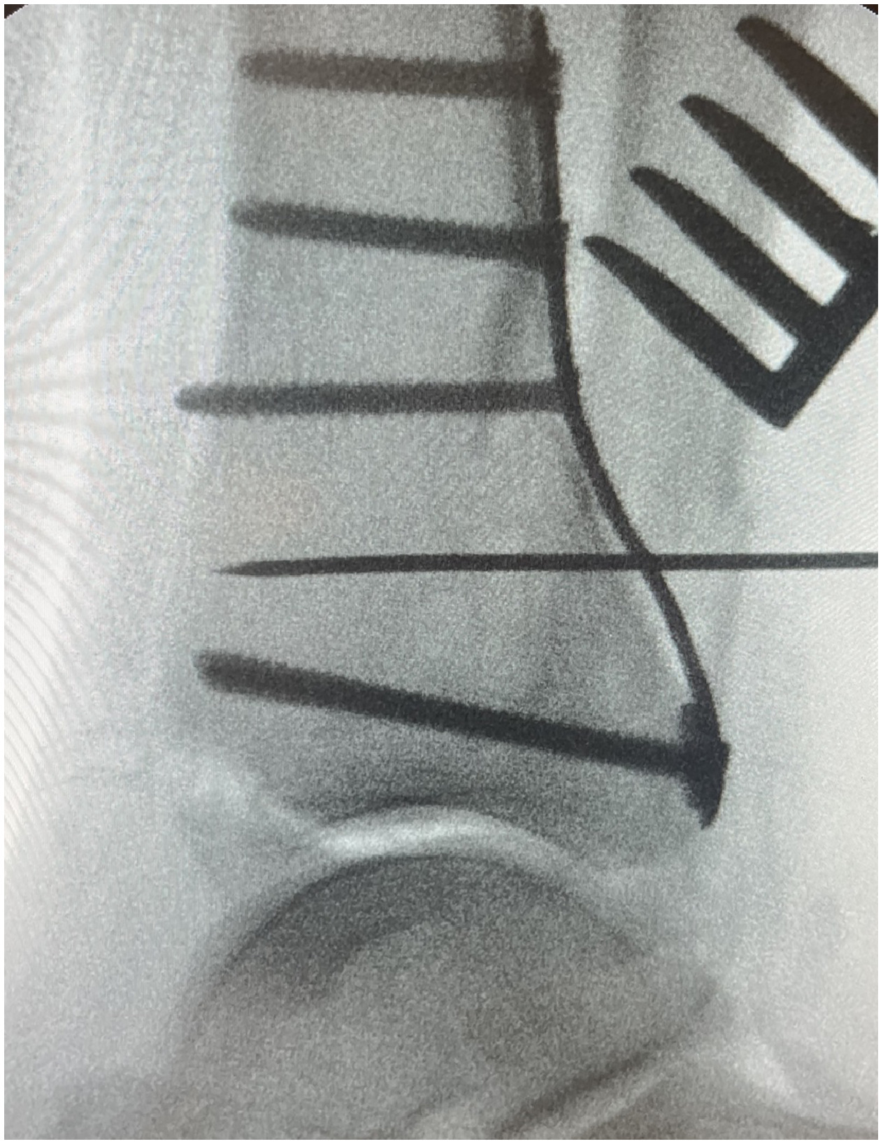 Fig. 7 dummy alt text