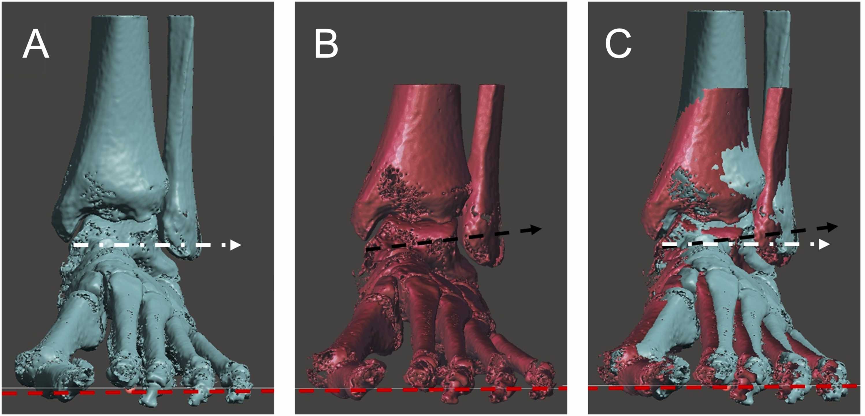 Fig. 7