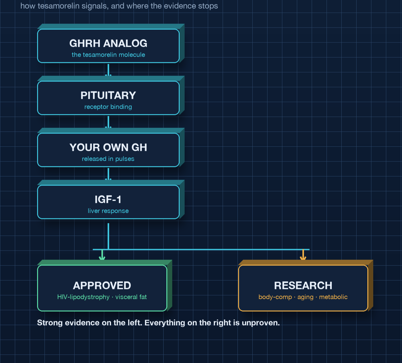 Key Refrence Tesamorelin Peptide: How It Works, FDA Status & What the Research Shows ...